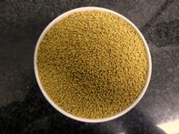 Senape gialla in semi - 50g